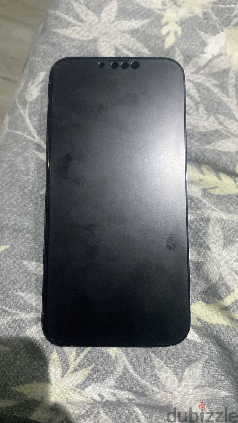 Apple - iPhone 13 Pro Max 1