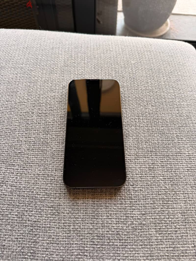 Apple - iPhone 13 Pro Max 1