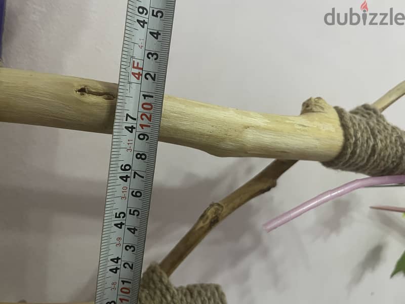 Parrot bird perch stand 6