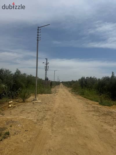 A farm of 30 acres cultivated in Wadi El Natroun with a final contract and ready located on the Alexandria Desert Road