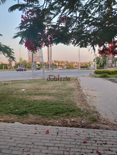 موقع مميز شقة للايجار المفروش اول عمارة بعد هايبر وان الشيخ زايد
