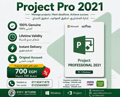 Project Professional 2019 original
