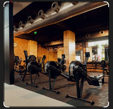 8 months all day access Gold's gym concord plaza membership transfer