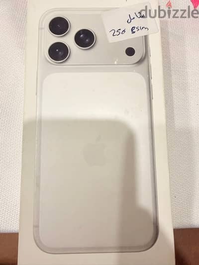 17 Pro Max (White )