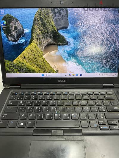 Dell Latitude 5495
