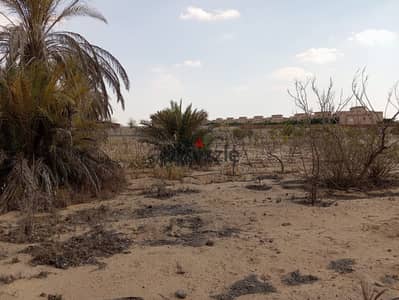 Land for sale 9500m with final contracts 1 km from the Cairo-Alexandria Desert Road and 5 minutes from Sheikh Zayed and Dahshur Link Road