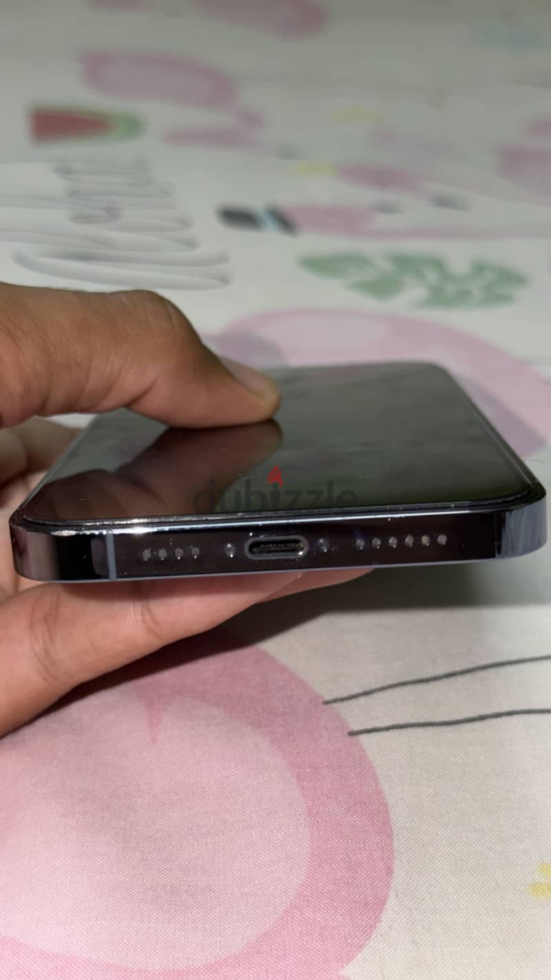 iPhone 13 Pro Max 1