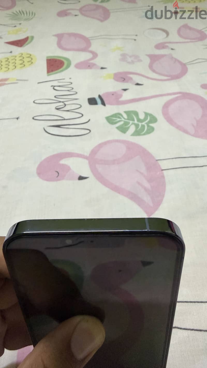 iPhone 13 Pro Max 2