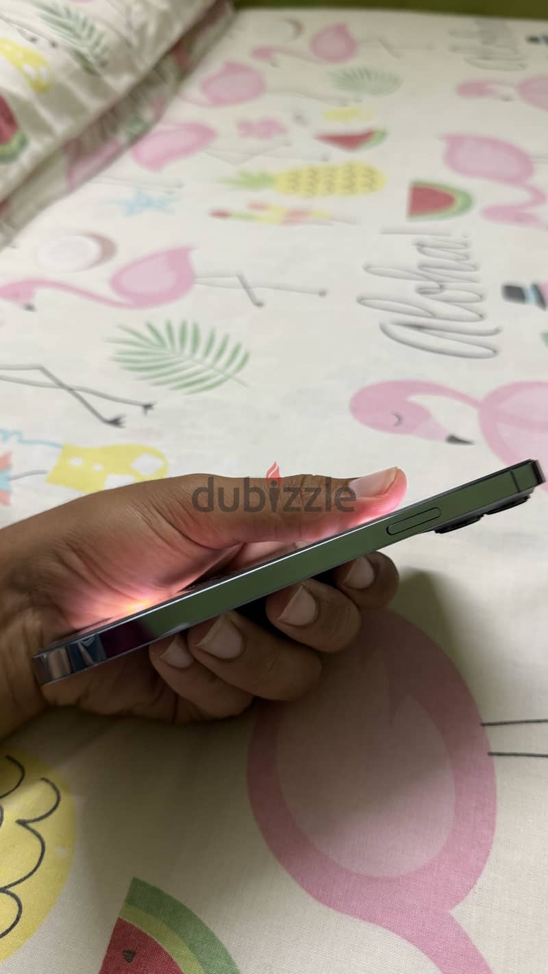 iPhone 13 Pro Max 3
