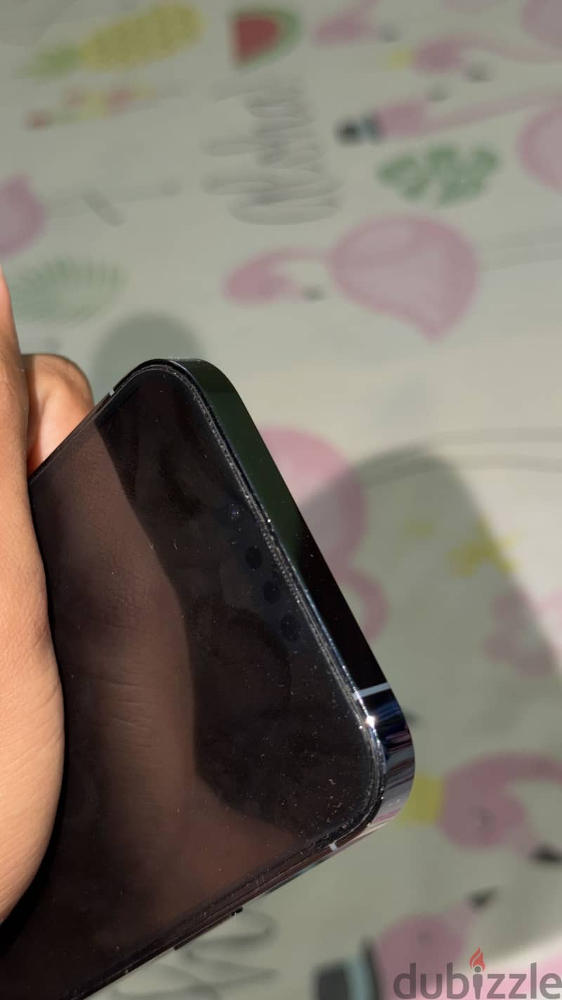 iPhone 13 Pro Max 4