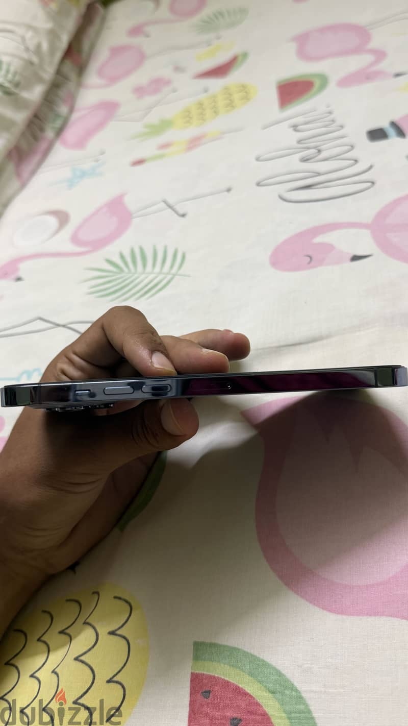 iPhone 13 Pro Max 6