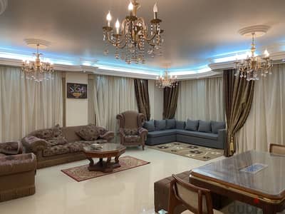 Fully furnished fully Air-conditioned  luxurious apartment for rent