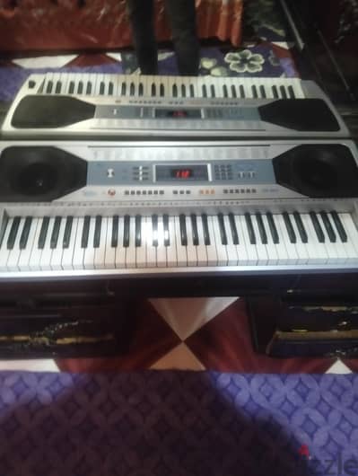 يونج مى 668 غربى