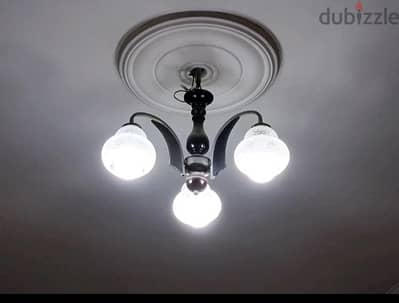 نجف شقة