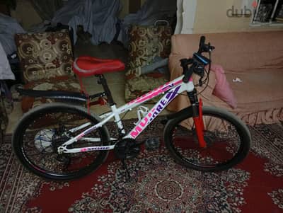 عجله مور  حديد