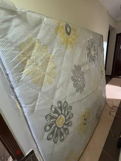 مرتبة جديدة