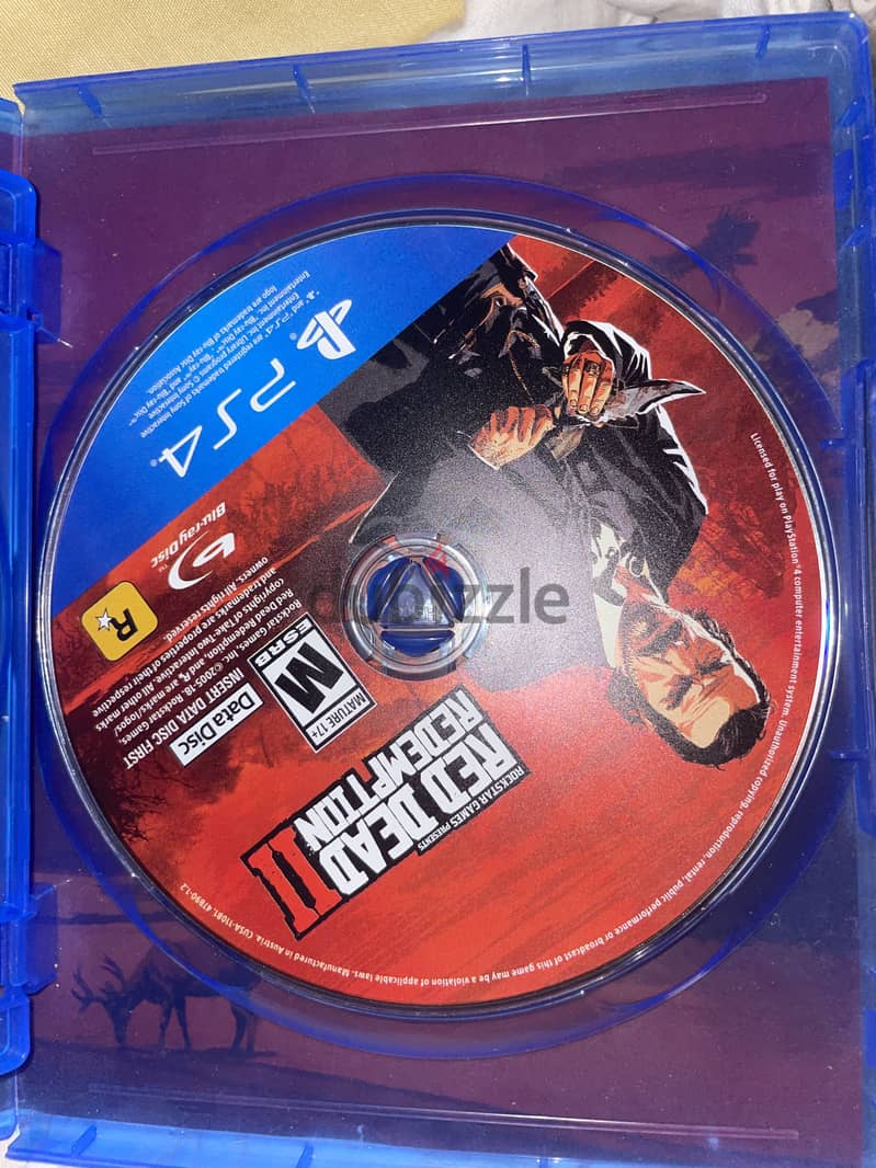 Red Dead Redemption2 2