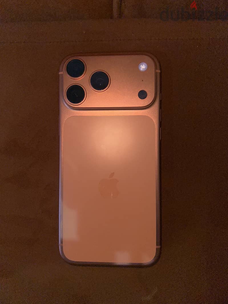 17 pro max orange 1