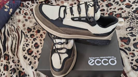 Ecco size 44