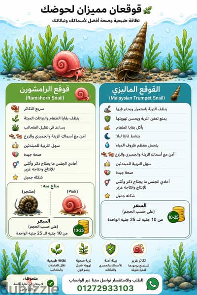 قواقع مائية