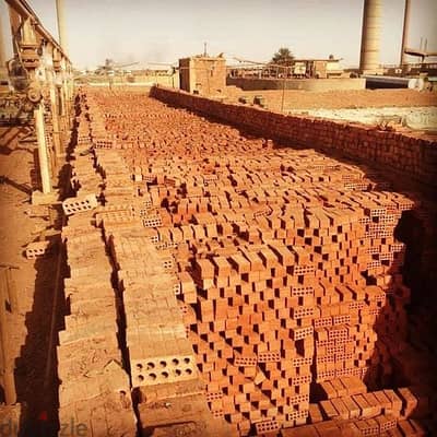 طوب احمر طفلي لشركه النور