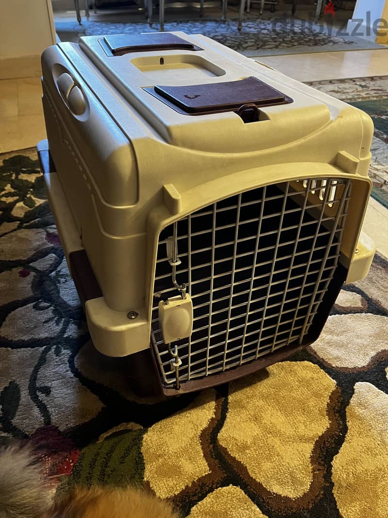 Dog Cage – 50x35cm – Hard Shell 1