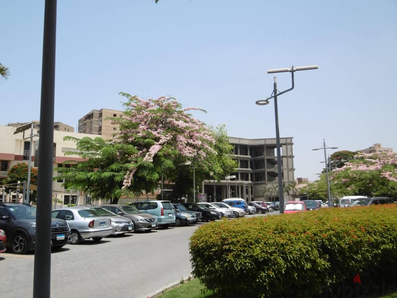 digital camera 7