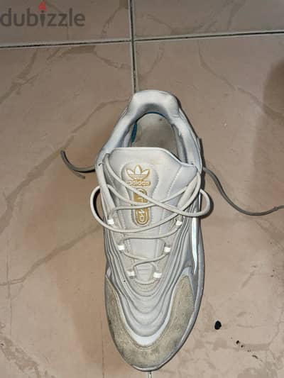 Adidas shoes