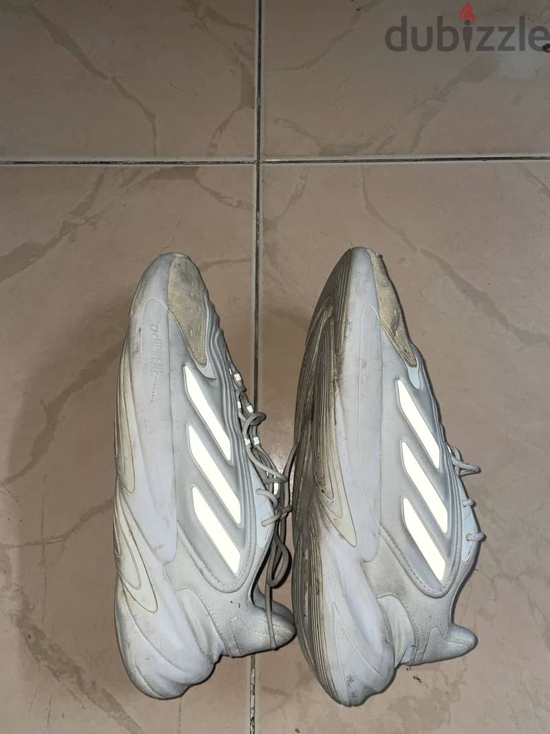 Adidas shoes 1