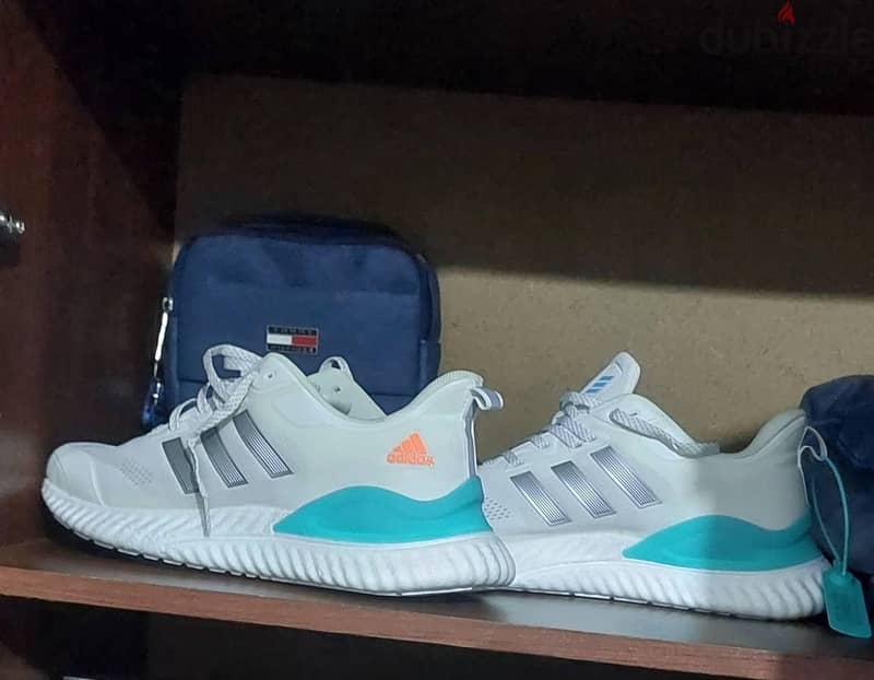 adidas alphabounce 2026 1