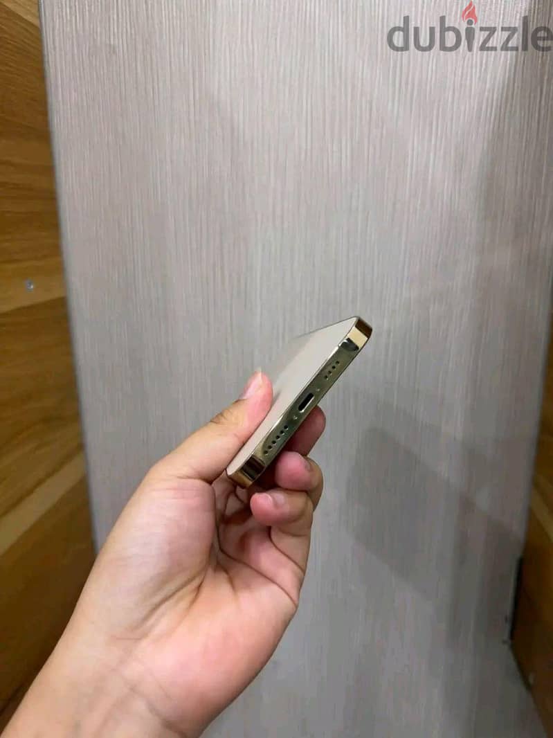Apple - iPhone 13 Pro Max 1