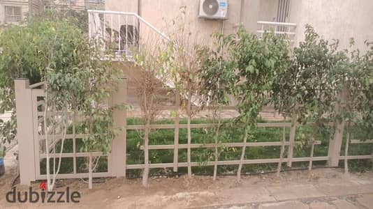 للإيجار فى مدينتى b6 شقة ارضى بجاردن خطوات للساوث بارك