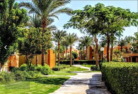 Apartment by the sea in a 5-star hotel with a private beach for annual rent