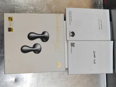 فري بودز 6