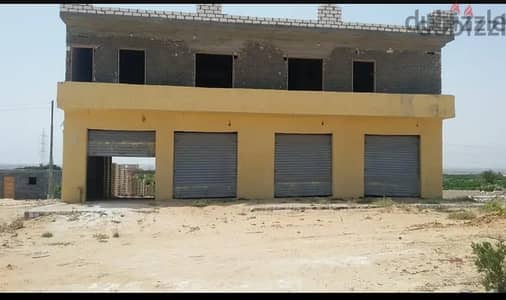 من المالك مباشرة ارض للبيع  بطريق الساخل الشمالي على الطريق مباشرة