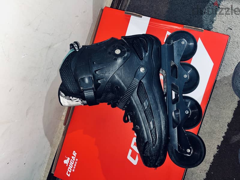 Couger 509 1