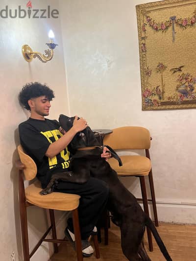 جسر السويس او المطريه