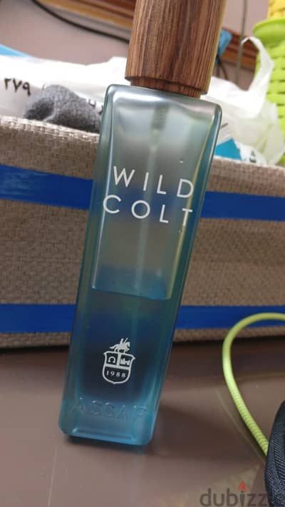 wild colt original
