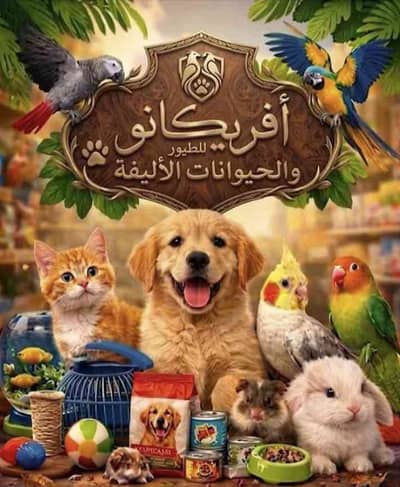 محمود أفريكانو لطيور الزينه