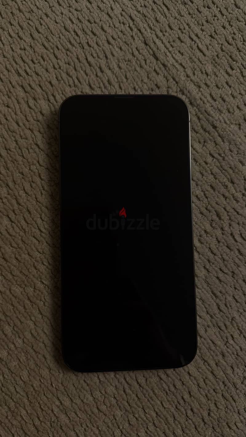 Apple - iPhone 13 Pro Max 1