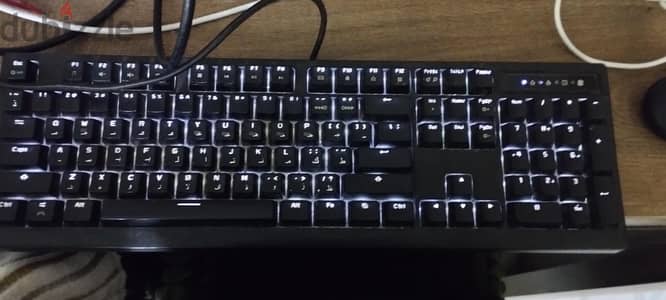 Full-Size Monoprice Mechanical office and gaming keyboard