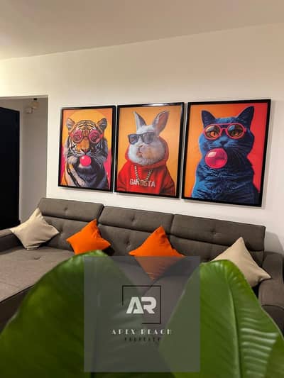 Studio for rent furnished with upscale furnishings and special finishes in B12 - Madinaty - New Cairo