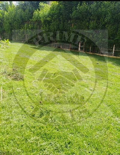 For Rent – Law Contract – Twin House Villa in Madinaty | Model Z