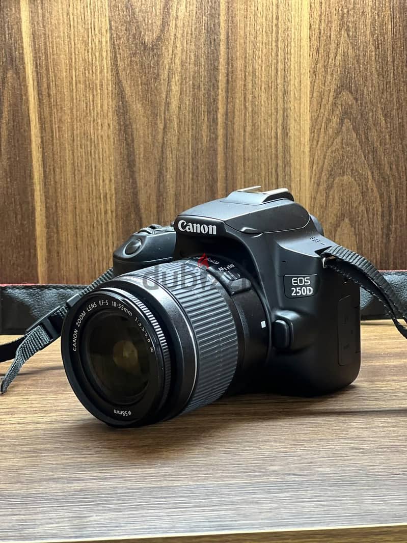 Camera Canon EOS 250D 1