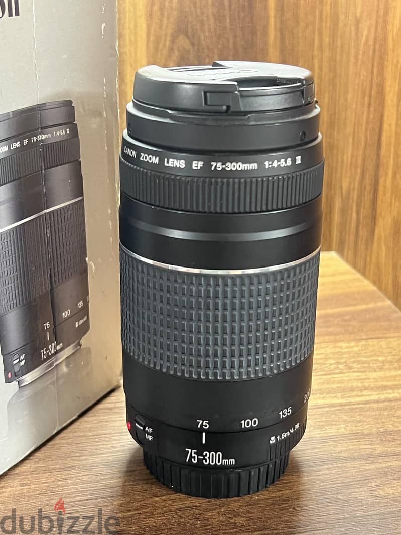 Camera Canon EOS 250D 5