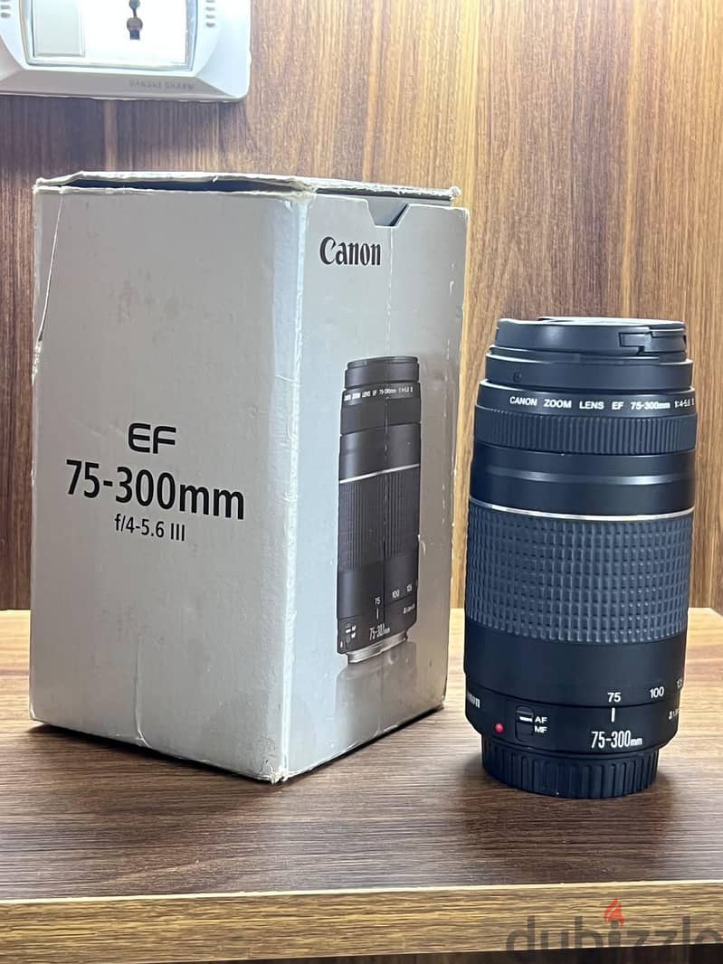 Camera Canon EOS 250D 6