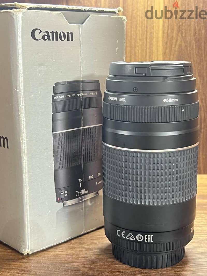 Camera Canon EOS 250D 7