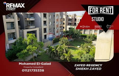Studio for Rent in Zayed Regency | Fully Furnished