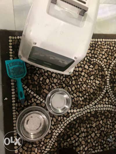 cat litter box and plates