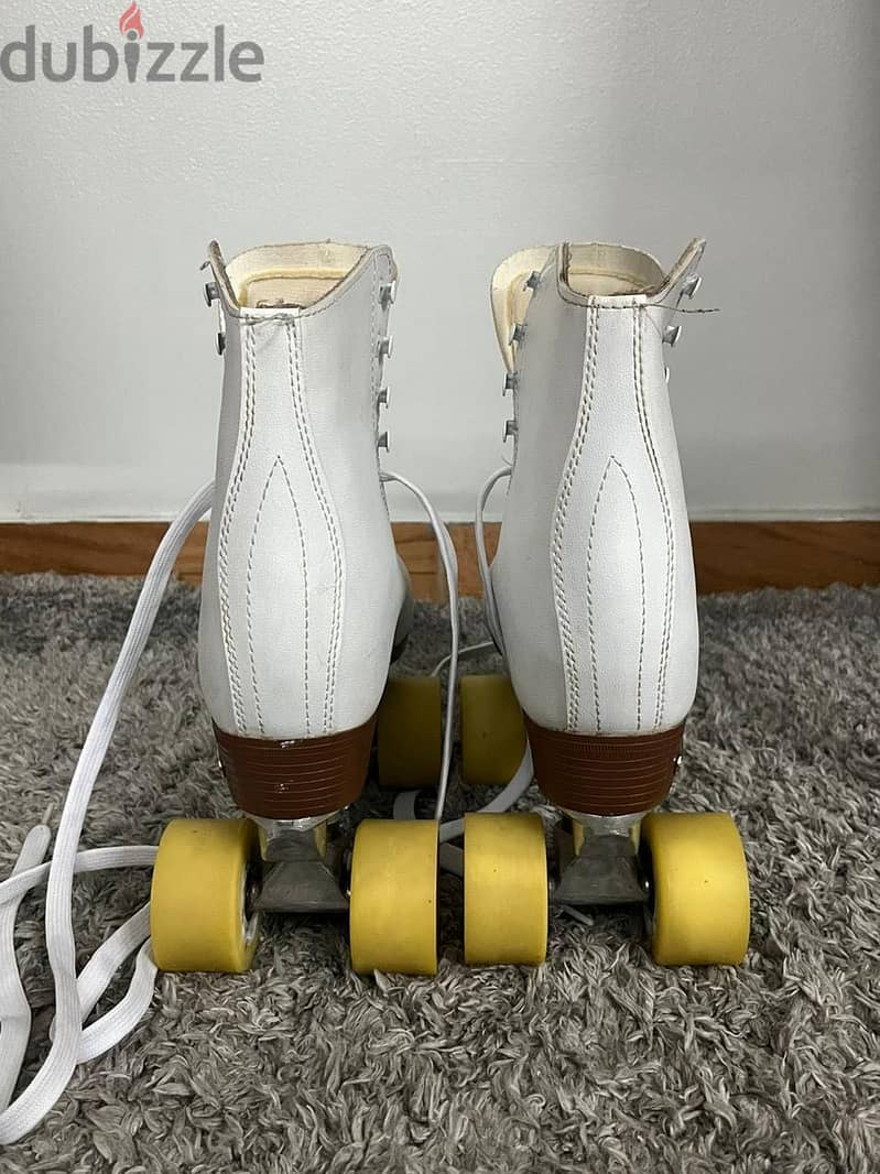Chicago skates 2